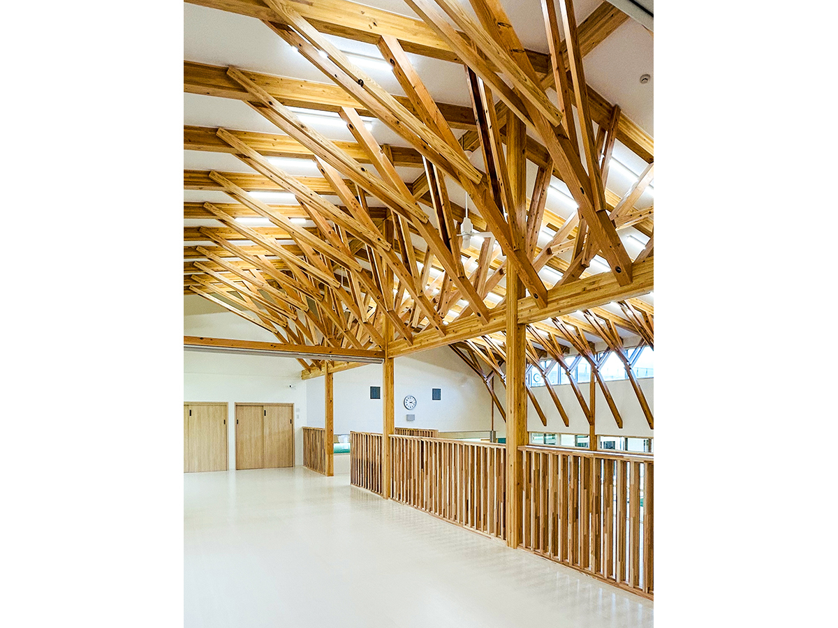 樹形構造の遊戯室があるわくわくゆめの樹こども園2