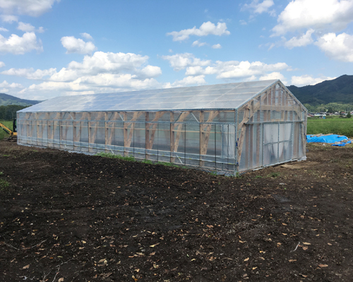 遠野木造ビニルハウス