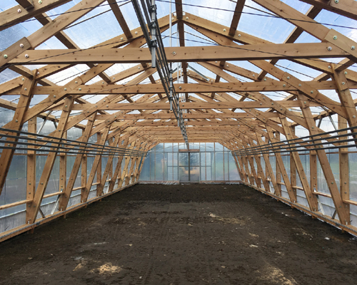 遠野木造ビニルハウス