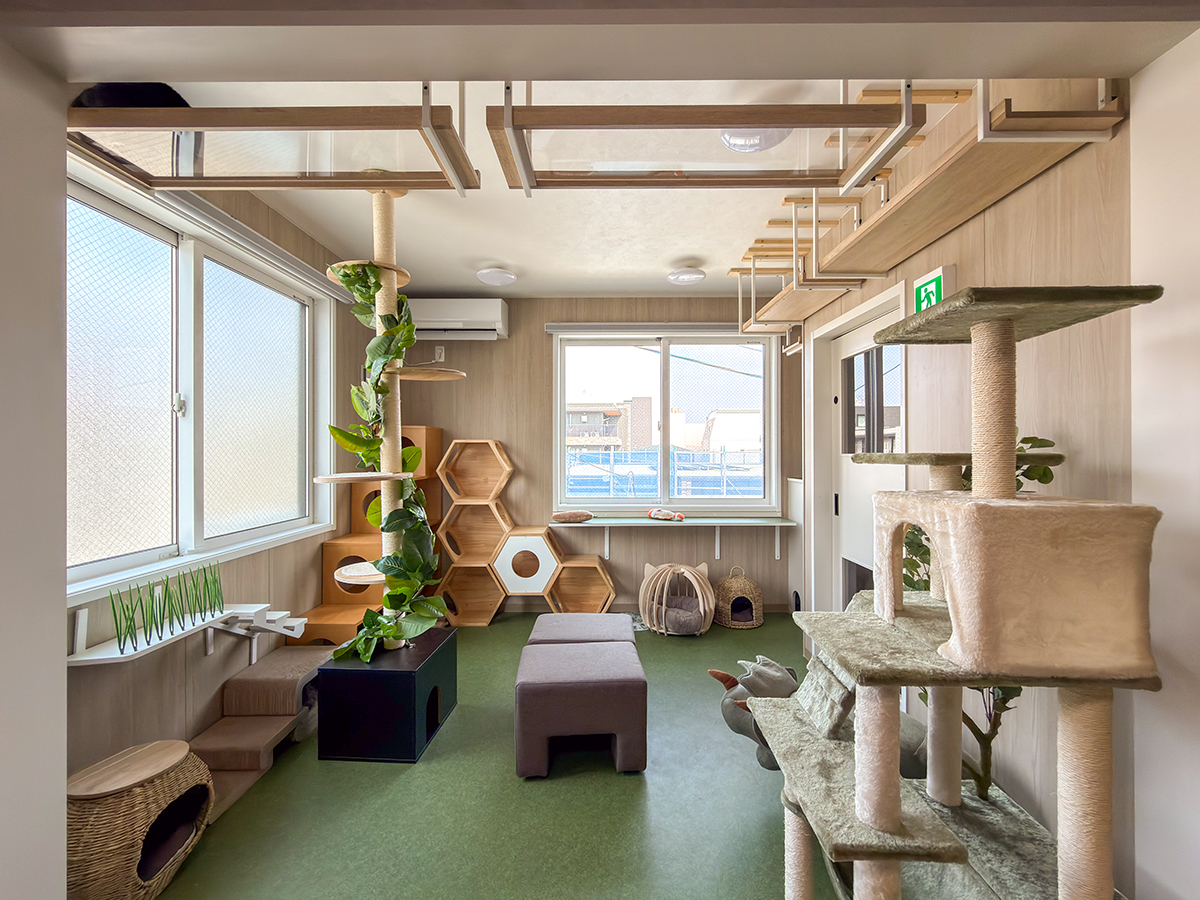 保護猫ラウンジちぐら堂