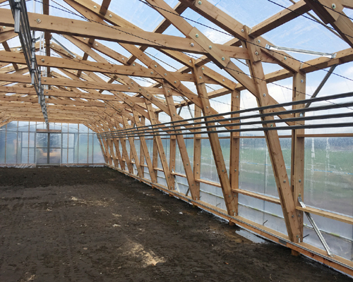 遠野木造ビニルハウス