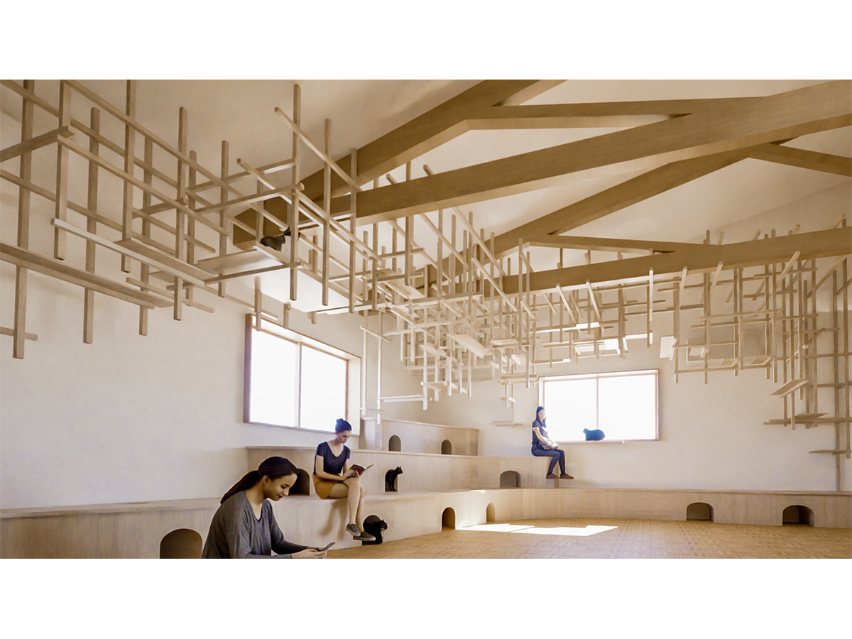 猫の遊び道具　雲と波