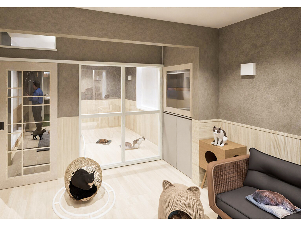 猫リビングからならし部屋を見る