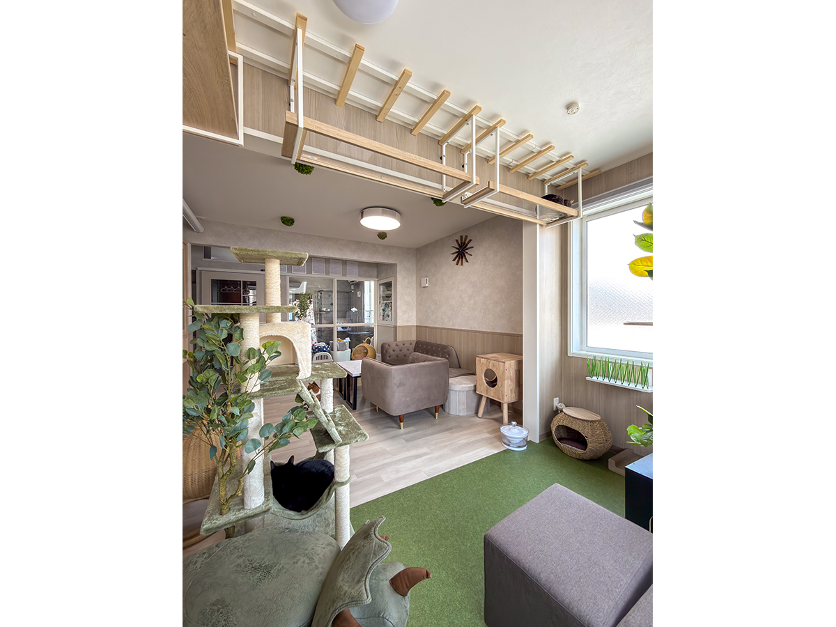 キャットウォークのある猫庭