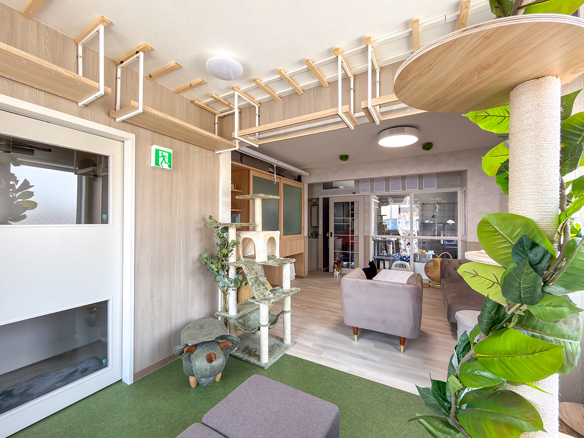 猫庭とリビングが連続する構成