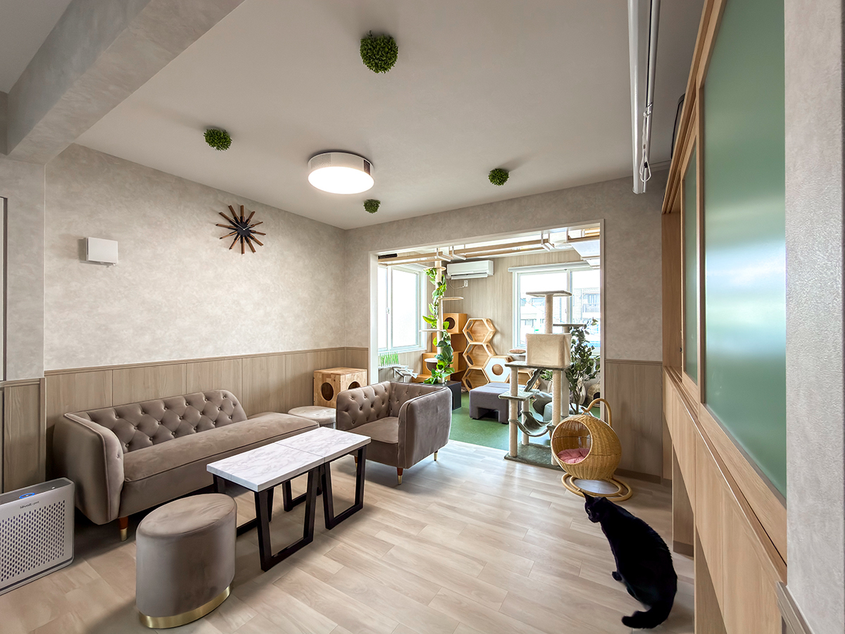 自宅のような猫リビング