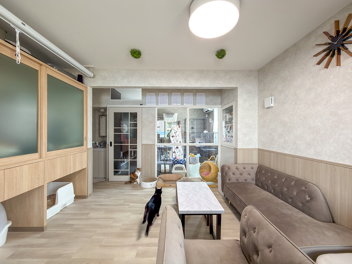 猫リビングとならし部屋