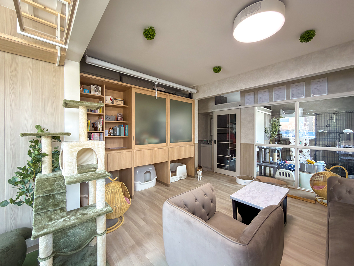 猫庭と猫リビング−１