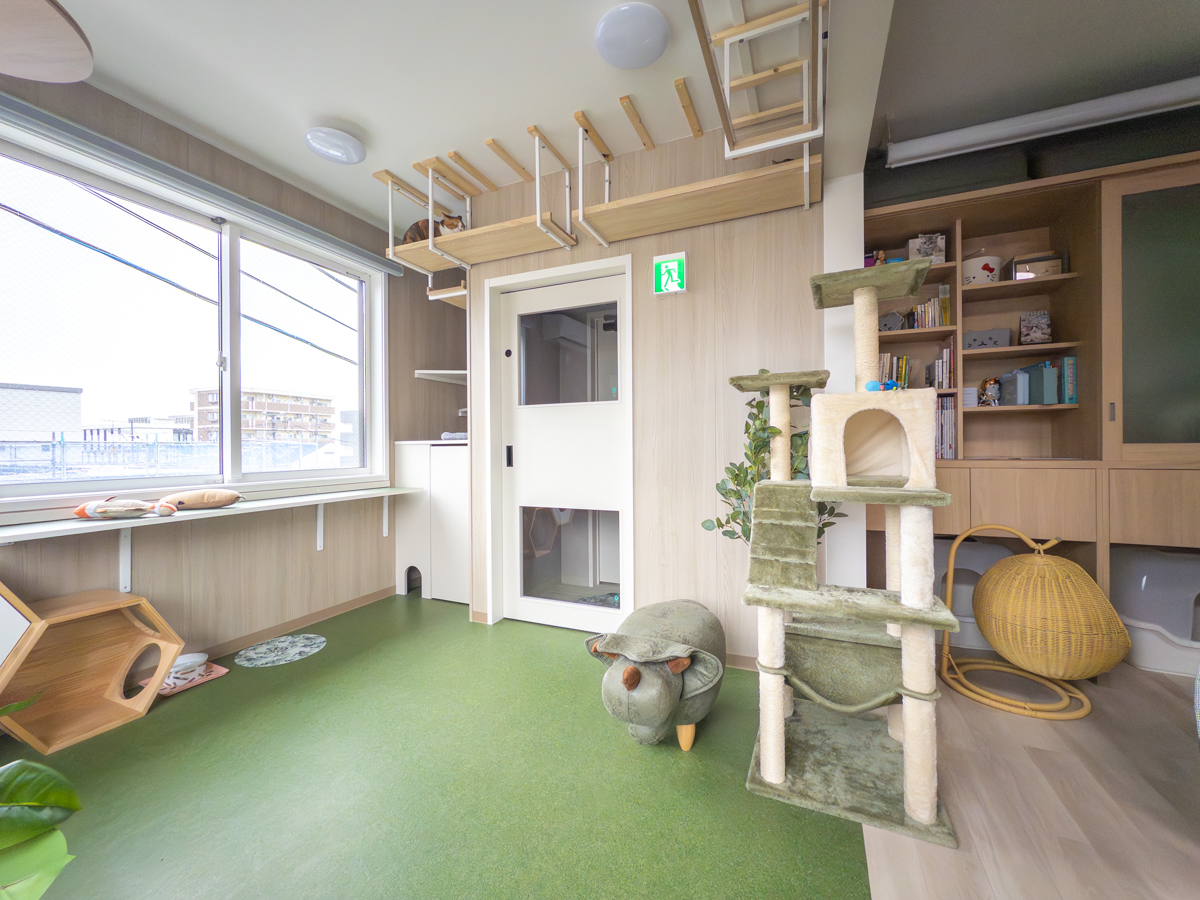 入り口とキャットウォークのあるキャットガーデン