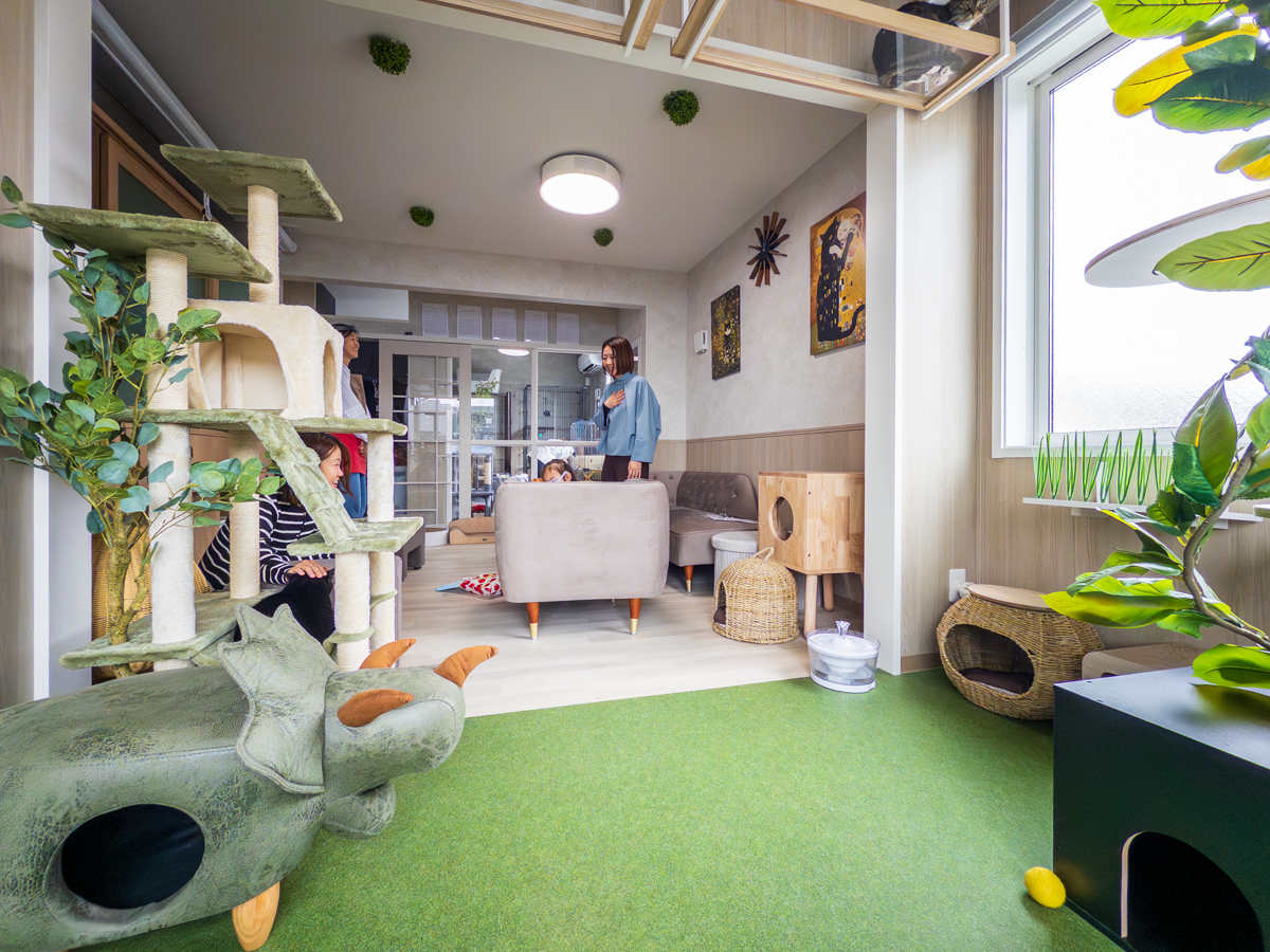 キャットガーデンからリビングを猫の目線で見る