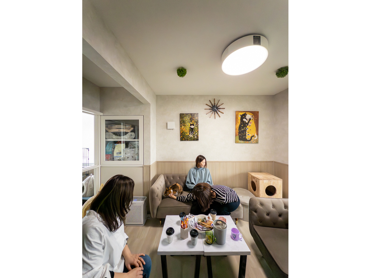 落ち着いて猫と過ごせるリビング