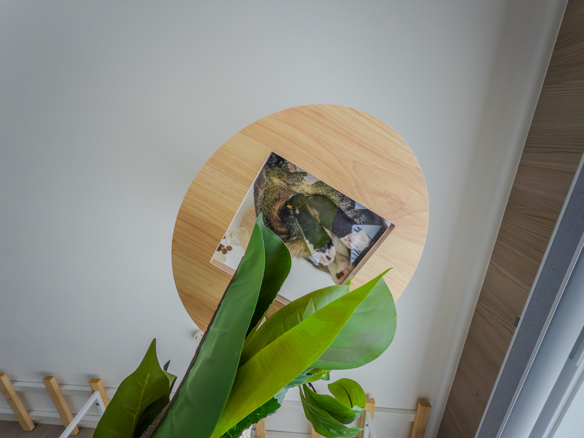 キャットウォークを見上げる