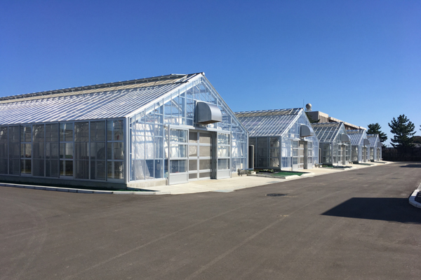 宮城農業高校草花実習棟外観