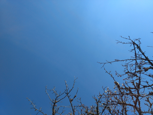 奥松島レーンホテル